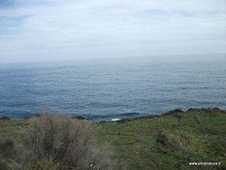zzena-30-03-2013 12-15-56